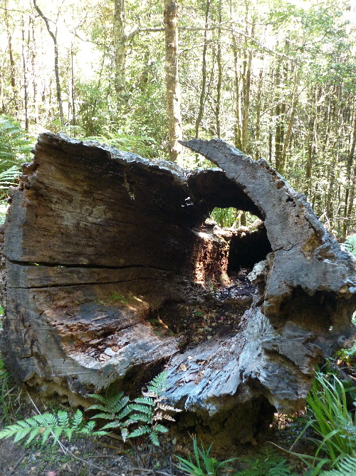 P1040120