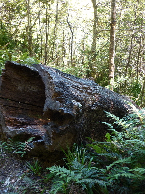 P1040122