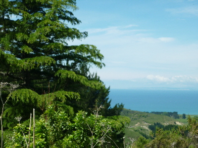P1040179