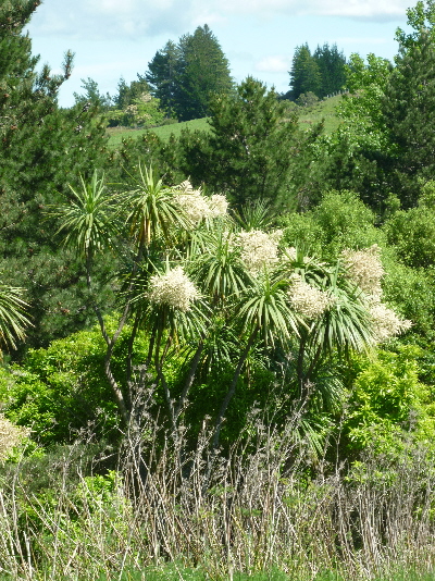 P1040181