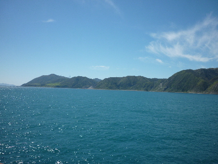 P1040491