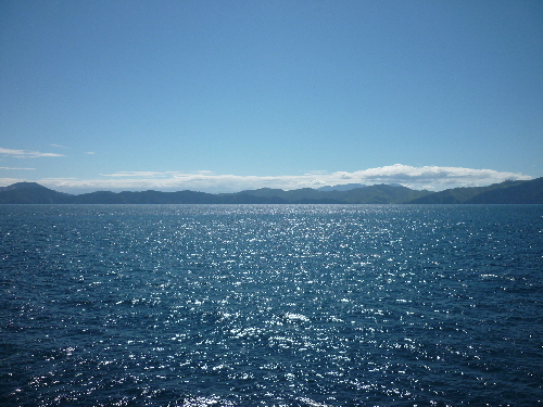 P1040506