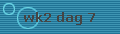 wk2 dag 7