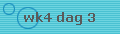 wk4 dag 3
