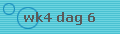 wk4 dag 6