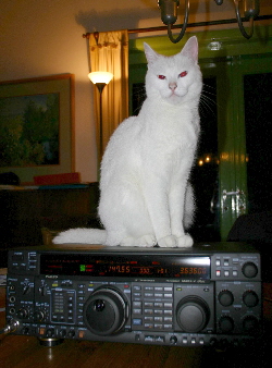 Re-exposure of cat_interface_v302