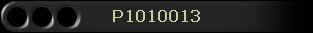 P1010013