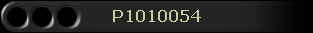 P1010054